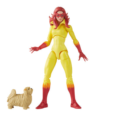 Marvel Legends Series Spider-Man and His Amazing Friends (preorder) -  -  Hasbro