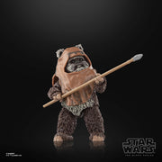 Star Wars The Black Series Wicket W. Warrick (Preorder Dec 2023) - Collectables > Action Figures > toy -  Hasbro