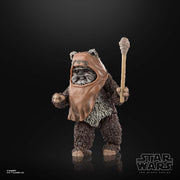Star Wars The Black Series Wicket W. Warrick (Preorder Dec 2023) - Collectables > Action Figures > toy -  Hasbro