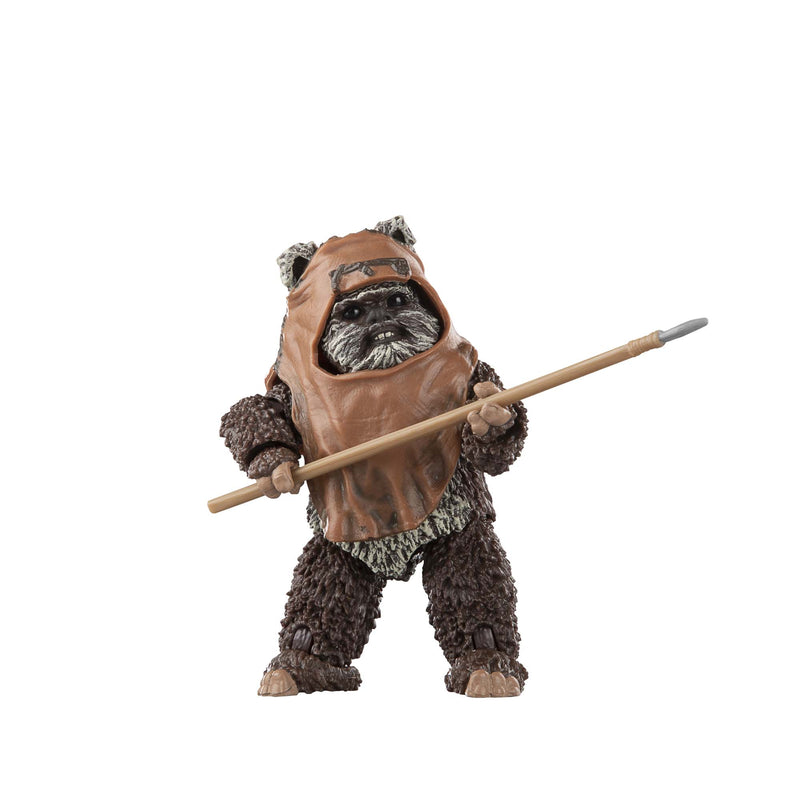 Star Wars The Black Series Wicket W. Warrick (Preorder Dec 2023) - Collectables > Action Figures > toy -  Hasbro