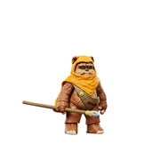 Star Wars The Vintage Collection Wicket & Kneesaa (Preorder Nov 2023) - Collectables > Action Figures > toy -  Hasbro