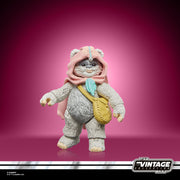 Star Wars The Vintage Collection Wicket & Kneesaa (Preorder Nov 2023) - Collectables > Action Figures > toy -  Hasbro