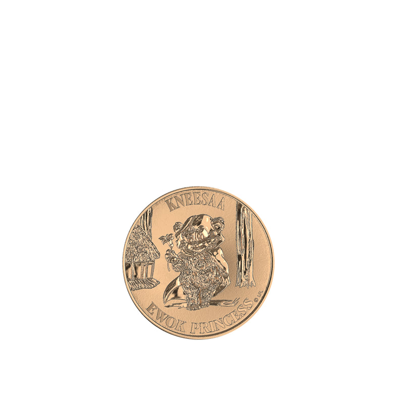 Star Wars The Vintage Collection Wicket & Kneesaa (Preorder Nov 2023) - Collectables > Action Figures > toy -  Hasbro