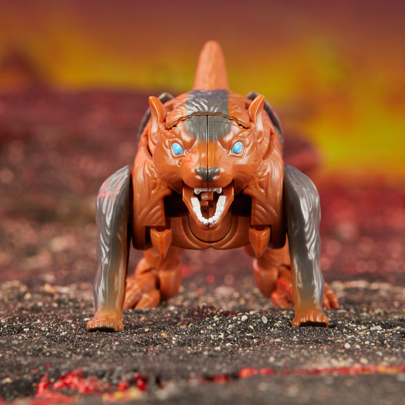 Transformers - Legacy United - Core Class - Beast Wars II Universe Tasmania Kid (Preorder Q1 2024) - Collectables > Action Figures > toys -  Hasbro