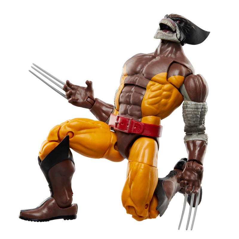 Marvel Legends Series Wolverine and Lilandra Neramani (preorder Q2) - Collectables > Action Figures > toys -  Hasbro