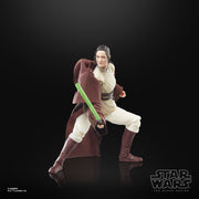 Star Wars The Black Series Jedi Master Indara (preorder Q4) - Action & Toy Figures -  Hasbro
