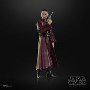 Star Wars The Black Series Padmé Amidala (preorder Q2) - Collectables > Action Figures > toys -  Hasbro