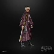 Star Wars The Black Series Padmé Amidala (preorder Q2) - Collectables > Action Figures > toys -  Hasbro
