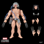 Marvel Legends Series Wolverine (Weapon X) - Exclusive  (preorder Oct 2025) - Collectables > Action Figures > toy -  Hasbro