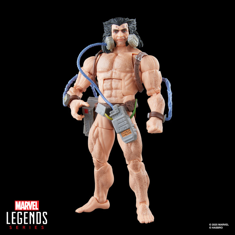 Marvel Legends Series Wolverine (Weapon X) - Exclusive  (preorder Oct 2025) - Collectables > Action Figures > toy -  Hasbro