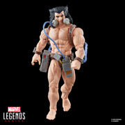 Marvel Legends Series Wolverine (Weapon X) - Exclusive  (preorder Oct 2025) - Collectables > Action Figures > toy -  Hasbro