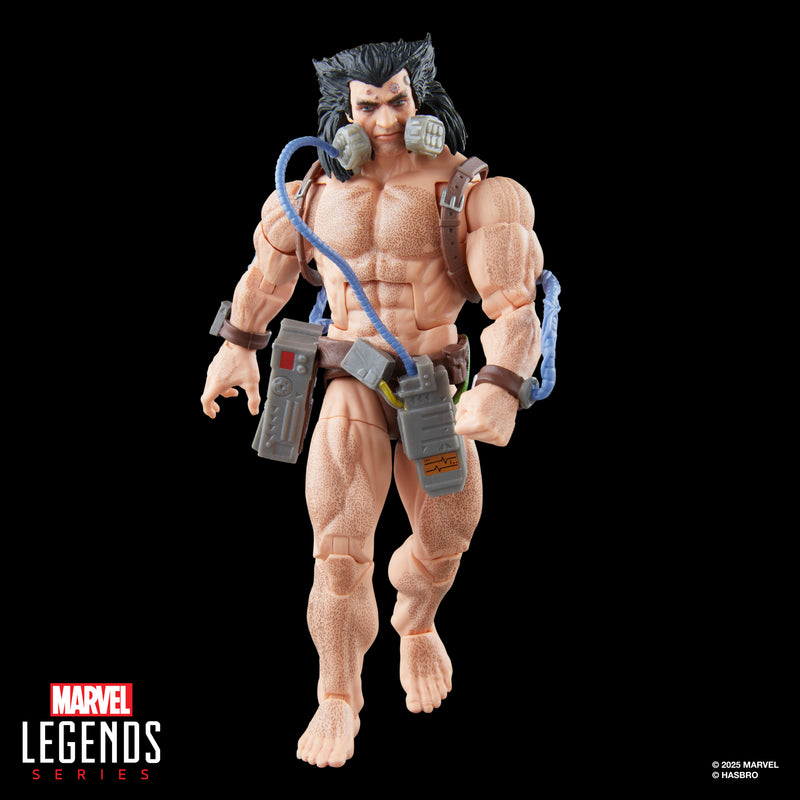 Marvel Legends Series Wolverine (Weapon X) - Exclusive  (preorder Oct 2025) - Collectables > Action Figures > toy -  Hasbro