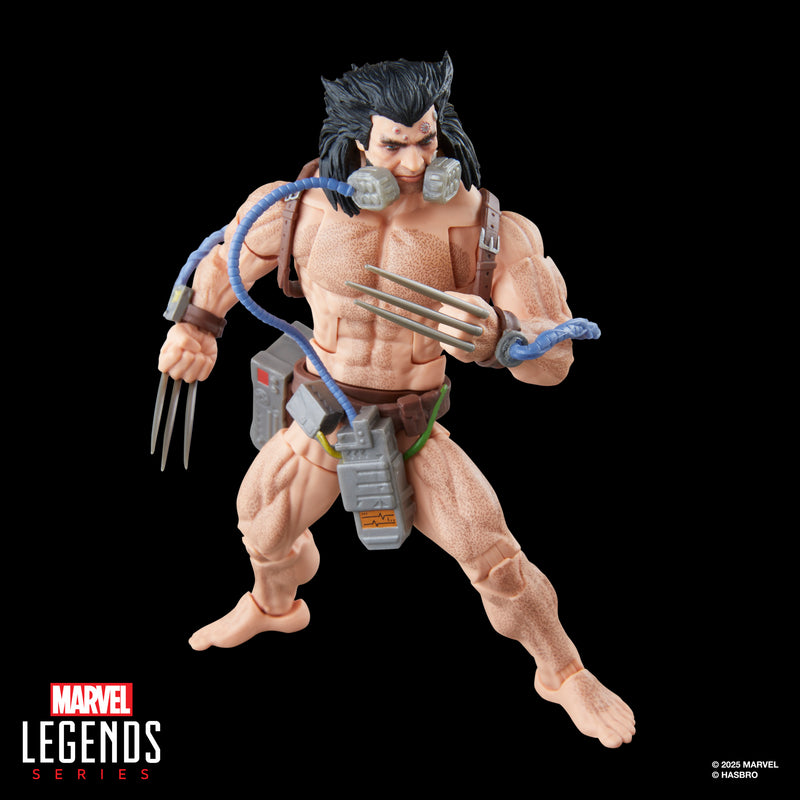 Marvel Legends Series Wolverine (Weapon X) - Exclusive  (preorder Oct 2025) - Collectables > Action Figures > toy -  Hasbro