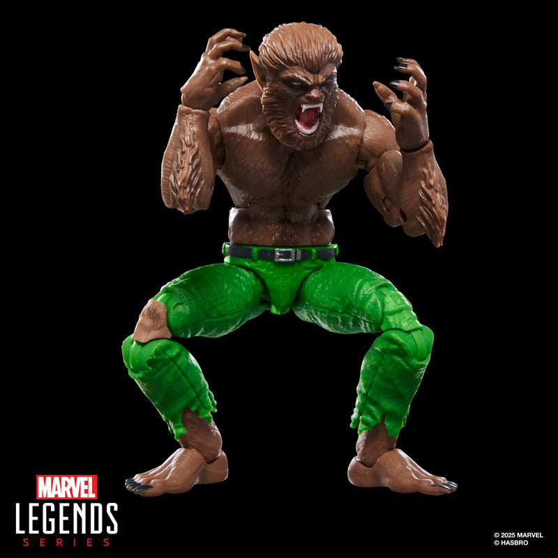 Marvel Legends Series Werewolf By Night (Preorder Q1 2026) - Collectables > Action Figures > toys -  Hasbro