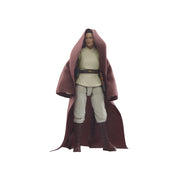 Star Wars The Vintage Collection Jedi Master Indara - Collectables > Action Figures > toys -  Hasbro