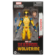 Marvel Legends Series Wolverine Action Figure - Collectables > Action Figures > toys -  Hasbro