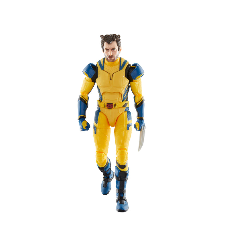 Marvel Legends Series Wolverine Action Figure - Collectables > Action Figures > toys -  Hasbro