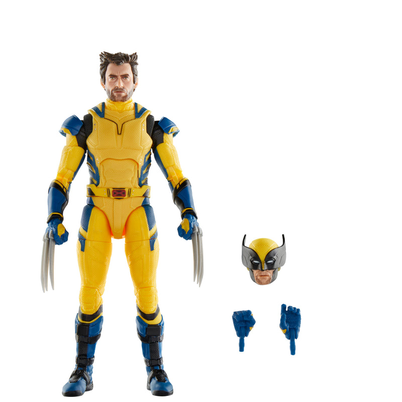 Marvel Legends Series Wolverine Action Figure - Collectables > Action Figures > toys -  Hasbro