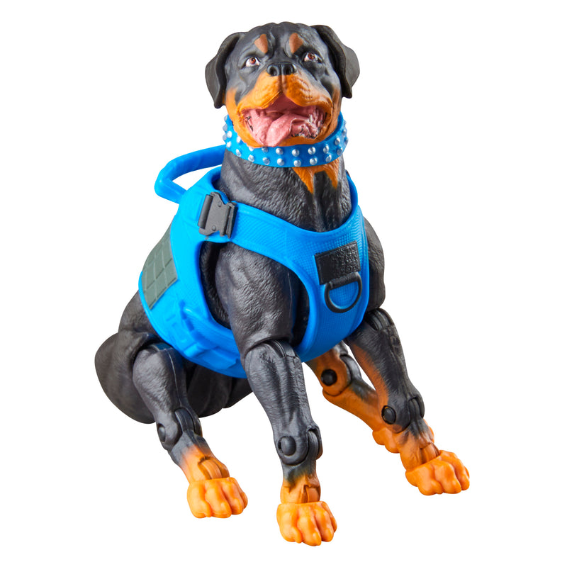 G.I. Joe Classified Series #220, Mad Marauders Footloose, Mutt, & Junkyard (Preorder Nov 2026)