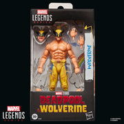 Marvel Legends Series Wolverine - Marvel Studios Deadpool & Wolverine Movie - Exclusive (Preorder Jul 2026) - Collectables > Action Figures > toys -  Hasbro