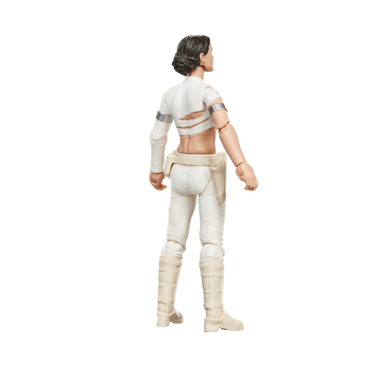 Star Wars The Vintage Collection - Padmé Amidala (Geonosis) (preorder Q4 2026)
