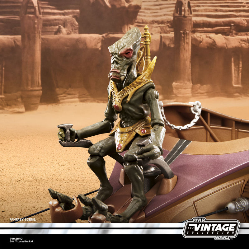 Star Wars The Vintage Collection Orray & Geonosian Picador (Preorder S ...