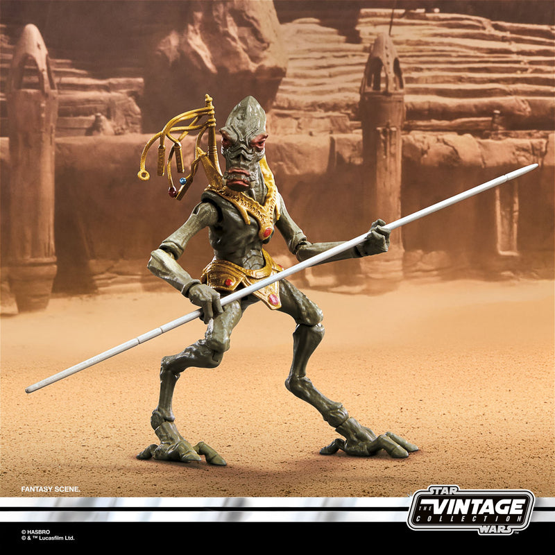 Star Wars The Vintage Collection Orray & Geonosian Picador (Preorder S ...