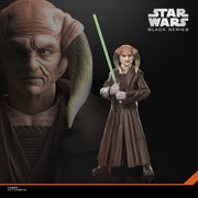 Star Wars Black Series Saesee Tiin (Preorder Mar 2027) - Collectables > Action Figures > toys -  Hasbro