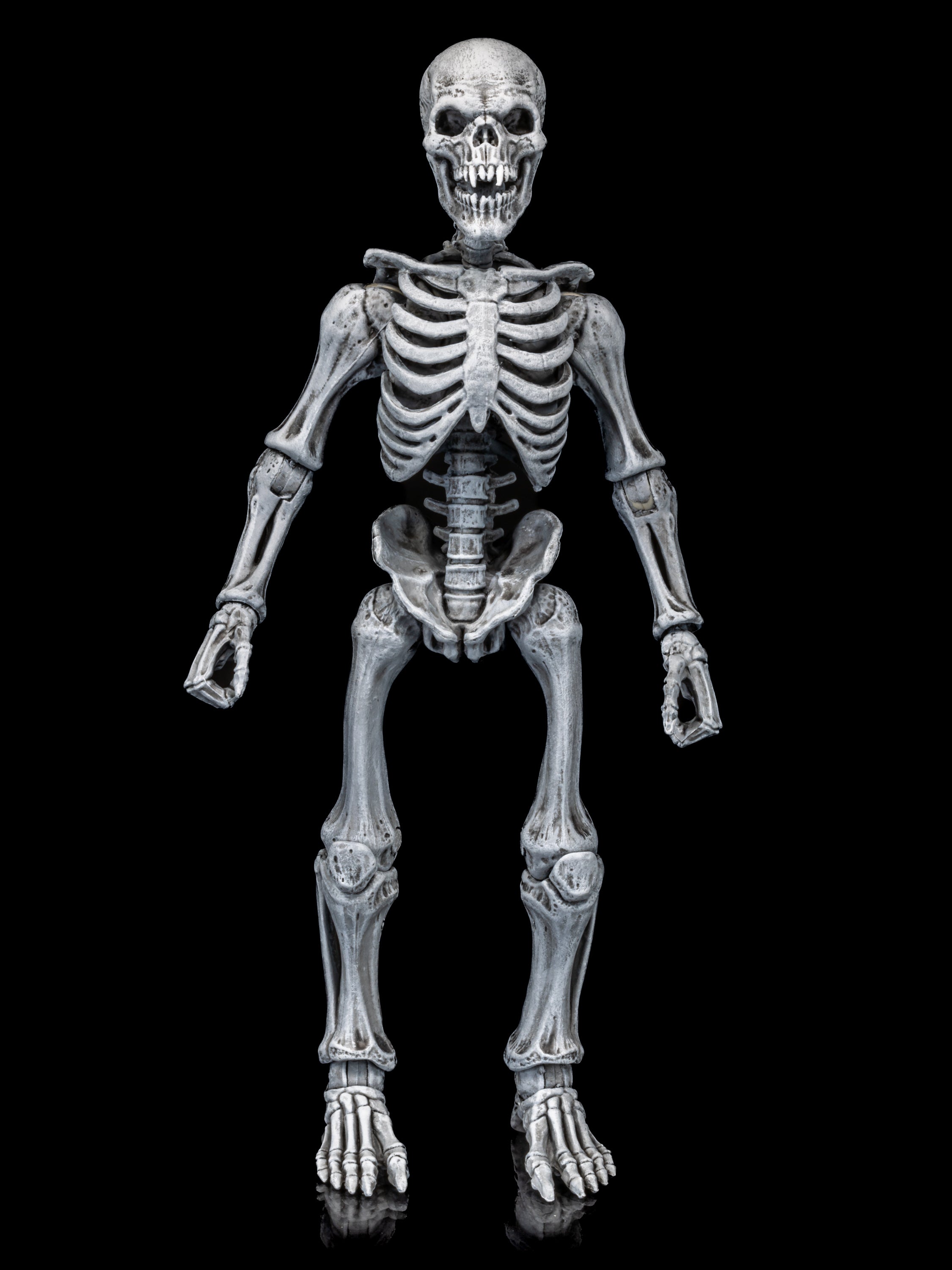 FOUR HORSEMEN GRAVEYARD SKELETONS 未開封 Mythic Legions - Graveyard Skeletons 4-pack — Toy Snowman