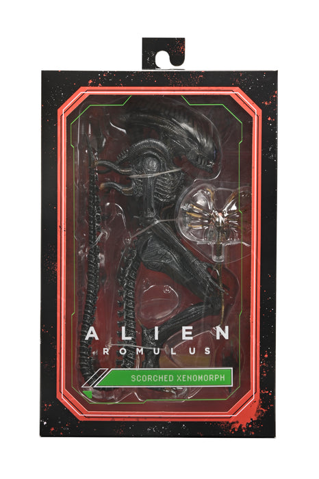 Alien: Romulus - 7" Scale Action Figure - Ultimate Scorched Xenomorph (preorder Q1)