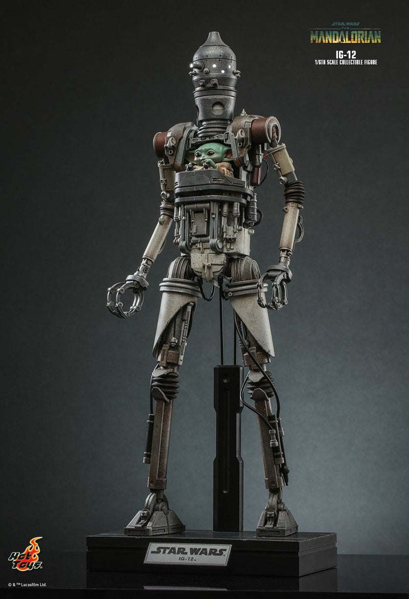 IG-12 - Star Wars - TMS104 - Collectables > Action Figures > toys -  Hot Toys