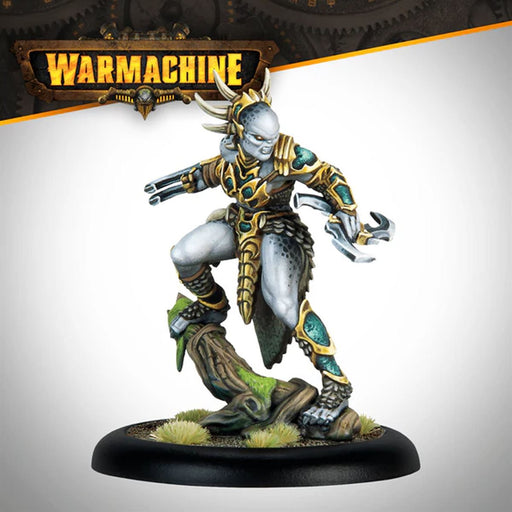 Warmachine - Mercernary - NIssak, Totem Huntress Champion - Miniature -  Steamforged Games