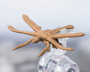 Godzilla vs. Megaguirus S.H.MonsterArts Megaguirus Action Figure (Preorder April 2026) - Collectables > Action Figures > toys -  Bandai