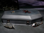 Neca - Universal Monsters Dracula Accessory Set - Collectables > Action Figures > toys -  Neca