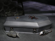 Neca - Universal Monsters Dracula Accessory Set - Collectables > Action Figures > toys -  Neca