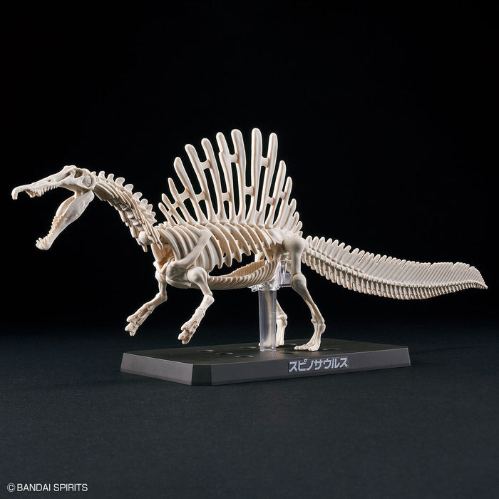 PLANNOSAURUS Spinosaurus - Model Kit > Collectable > Gunpla > Hobby -  Bandai