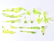 Super Action Stuff The Cursed Crate Action Figure Accessory Set - Collectables > Action Figures > toys -  HAPPYCAT INDUSTRIES