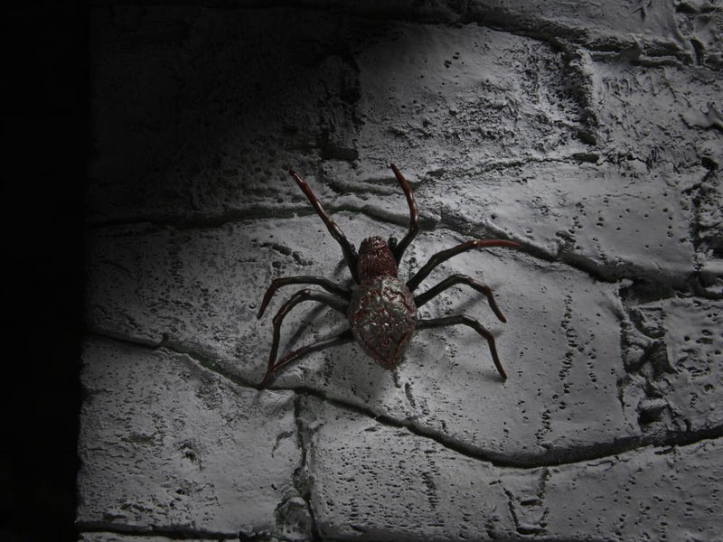 Neca - Universal Monsters Dracula Accessory Set - Collectables > Action Figures > toys -  Neca