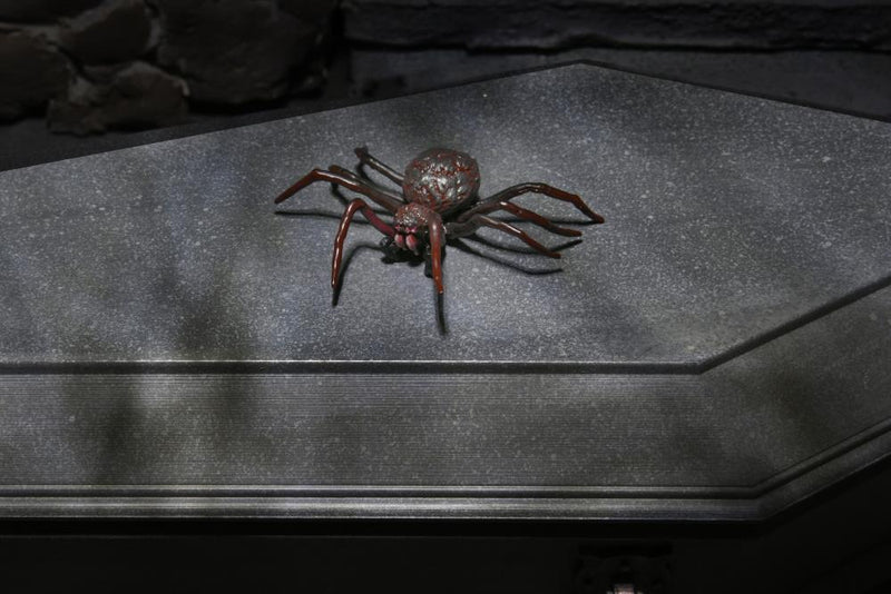 Neca - Universal Monsters Dracula Accessory Set - Collectables > Action Figures > toys -  Neca