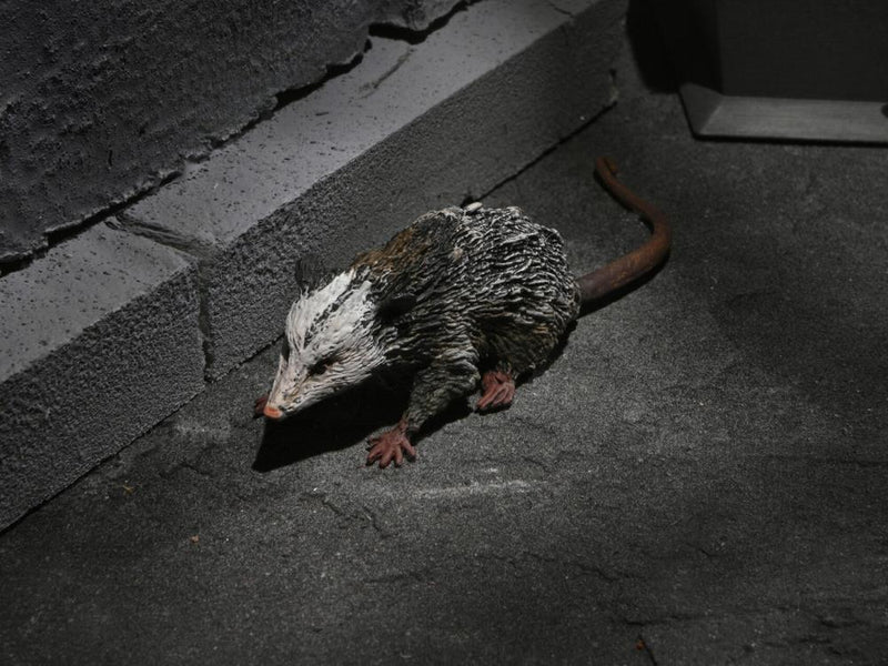 Neca - Universal Monsters Dracula Accessory Set - Collectables > Action Figures > toys -  Neca