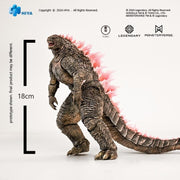 Godzilla x Kong: The New Empire Godzilla Evolved (preorder Q4) - Collectables > Action Figures > toys -  HIYA TOYS