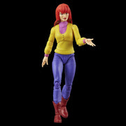 Spider-Man Marvel Legends Mary Jane & Green Goblin Exclusive Two-Pack - Collectables > Action Figures > toys -  Hasbro