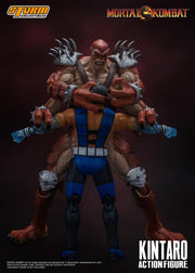 Mortal Kombat VS Series - Kintaro - Collectables > Action Figures > toys -  Storm Collectibles