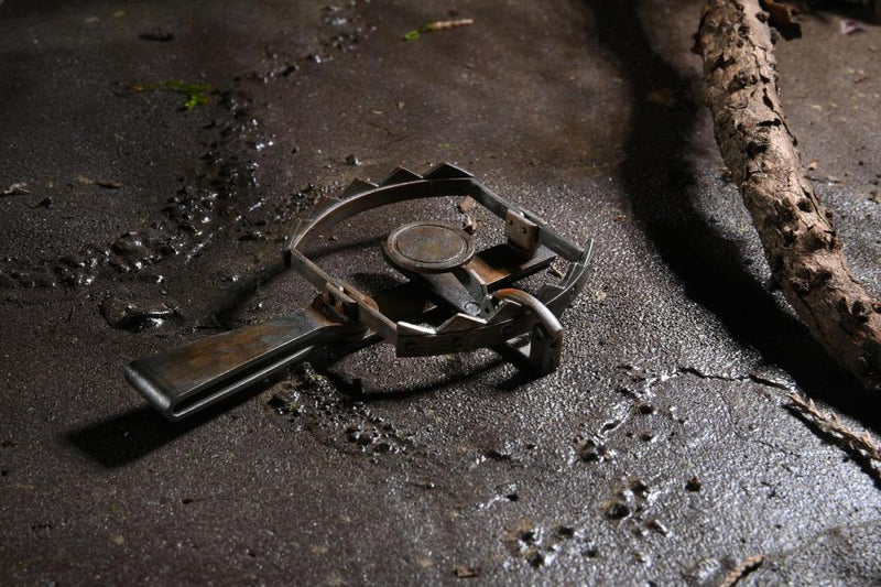 Universal Monsters Ultimate The Wolf Man - Collectables > Action Figures > toys -  Neca