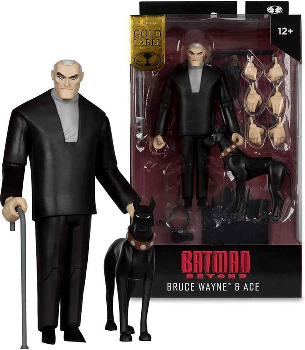 DC Multiverse - Batman Beyond Animated 25th Ann Bruce Wayne with Ace Gold - SDCC exclusive