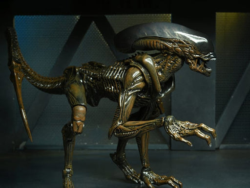 Aliens: Fireteam Elite Runner Alien Action Figure - Action & Toy Figures -  Neca