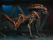 Aliens: Fireteam Elite Prowler Alien Action Figure - Action & Toy Figures -  Neca