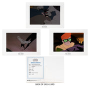 DC DIRECT - NEW BATMAN ADVENTURES 3PK - BATMAN, MUTANT LEADER AND ROBIN - LEGENDS OF THE DARK KNIGHT - Collectables > Action Figures > toys -  Mcfarlane Toys