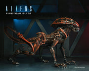 Aliens: Fireteam Elite Prowler Alien Action Figure - Action & Toy Figures -  Neca