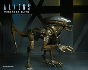 Aliens: Fireteam Elite Runner Alien Action Figure - Action & Toy Figures -  Neca